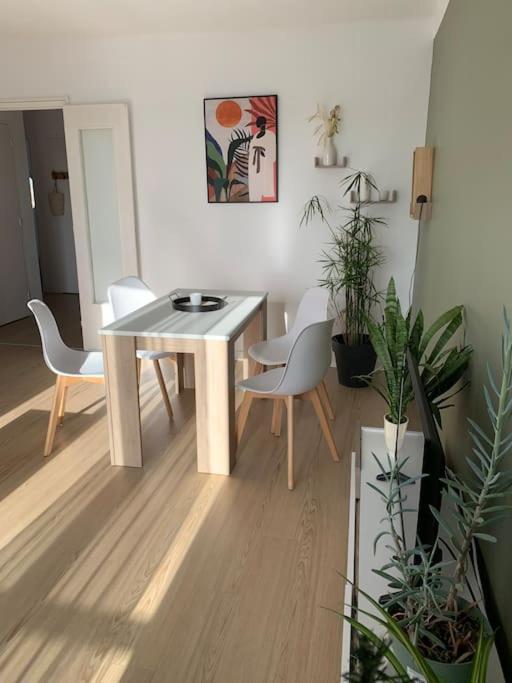 Appartement Le 48 Narbona Zewnętrze zdjęcie